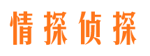 碾子山市私家侦探